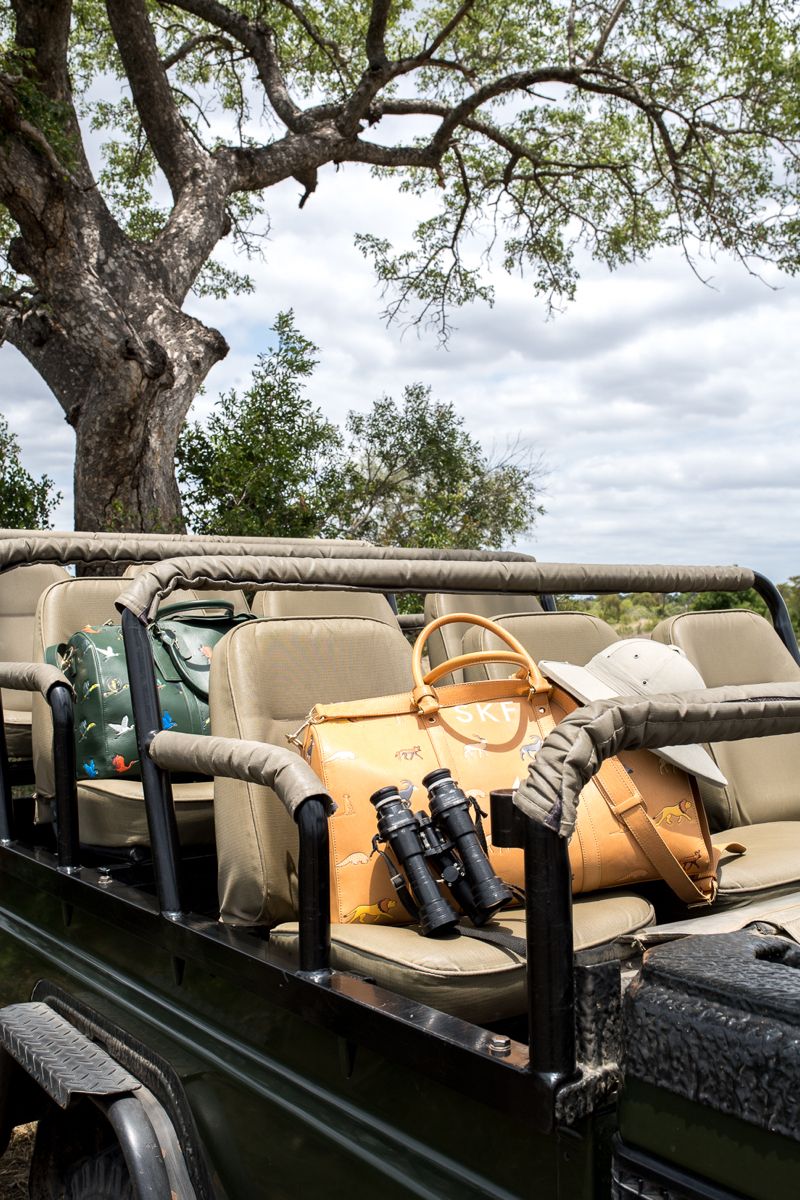 Classic Safari